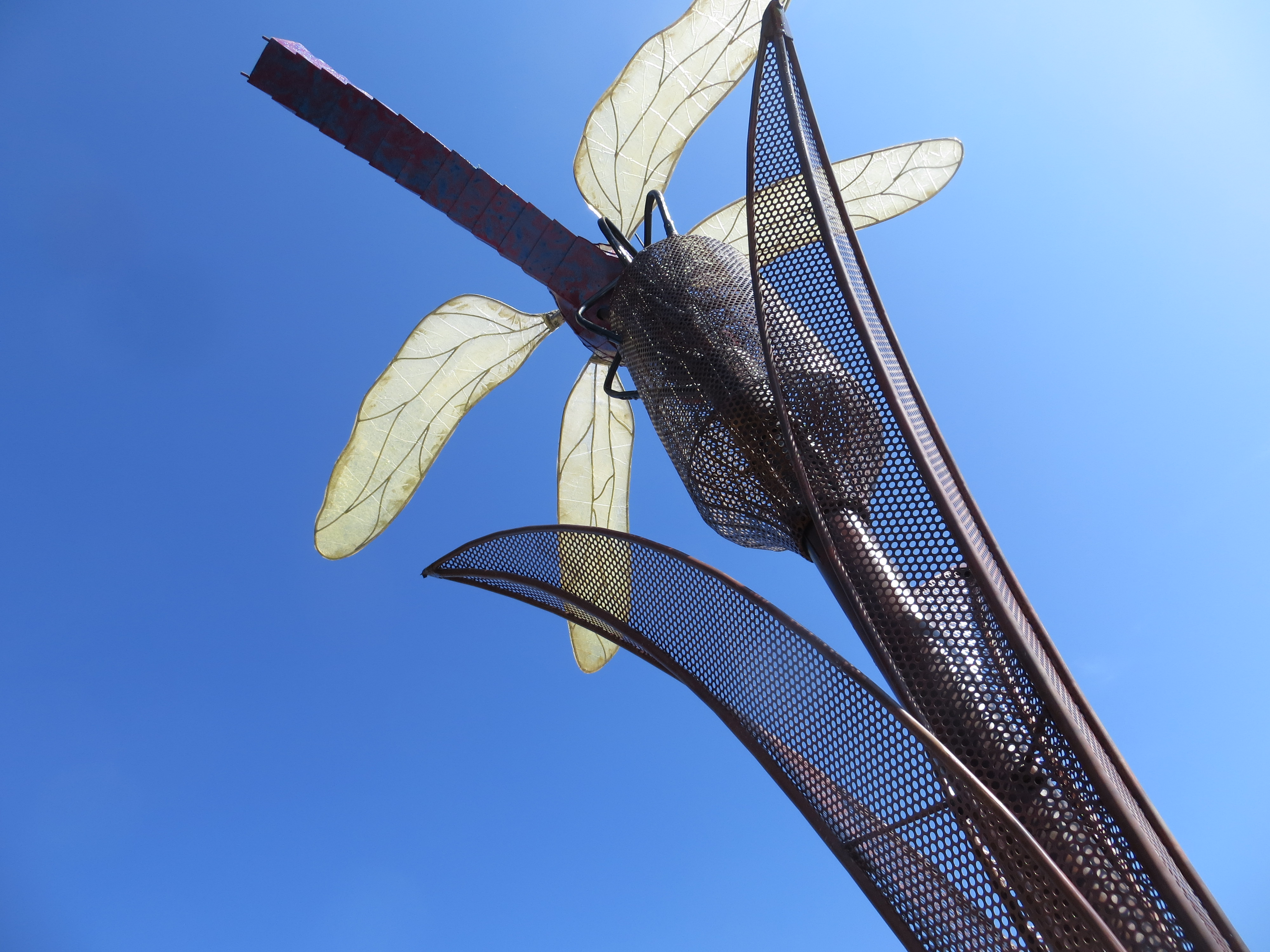 Dragonfly