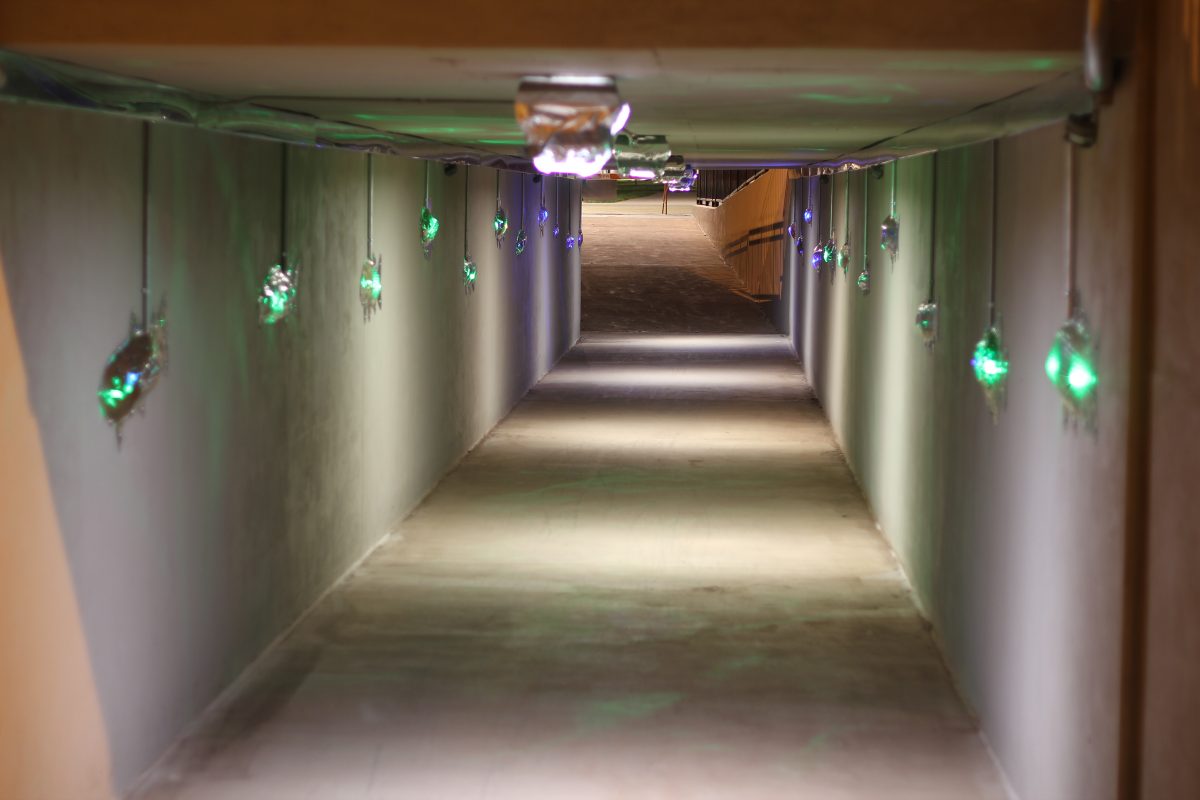 Interactive Immersion